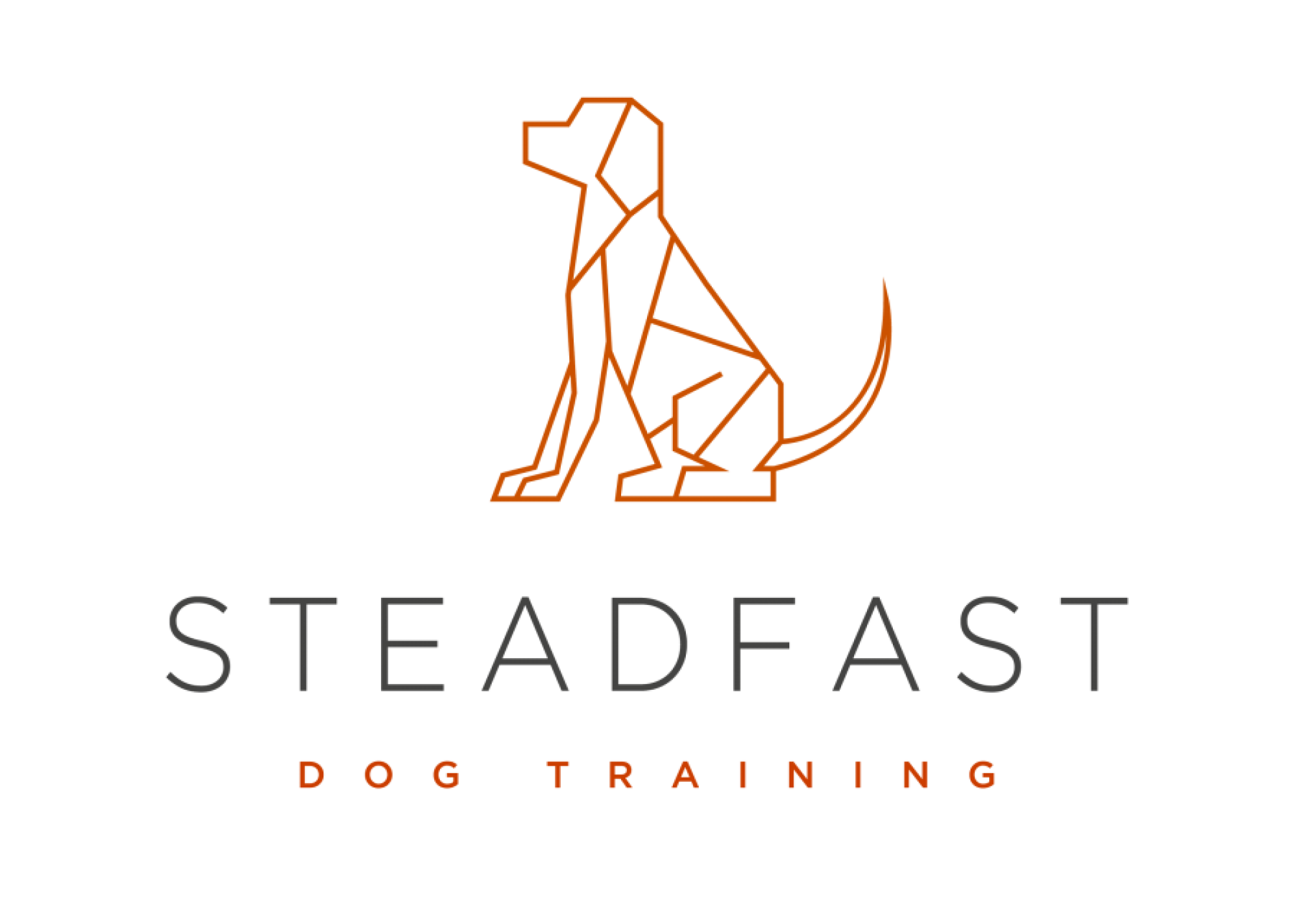 Steadfast Dog Training 